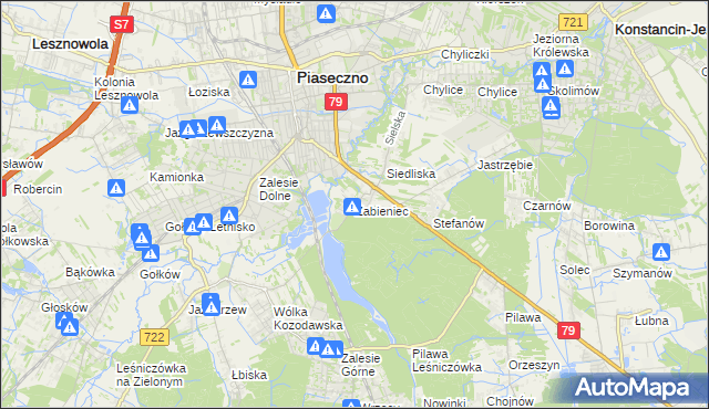 mapa Żabieniec gmina Piaseczno, Żabieniec gmina Piaseczno na mapie Targeo