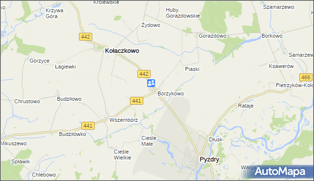 mapa Borzykowo gmina Kołaczkowo, Borzykowo gmina Kołaczkowo na mapie Targeo