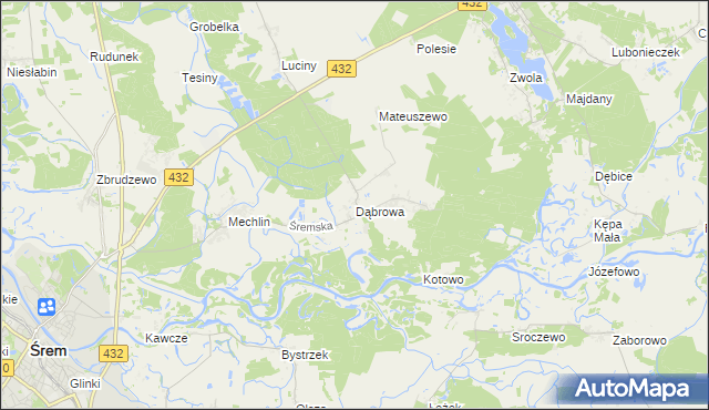 mapa Dąbrowa gmina Śrem, Dąbrowa gmina Śrem na mapie Targeo