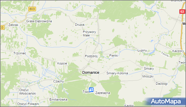 mapa Domanice-Kolonia, Domanice-Kolonia na mapie Targeo