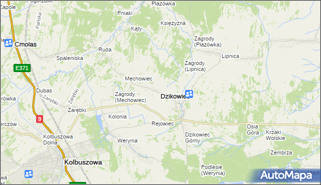 mapa Dzikowiec powiat kolbuszowski, Dzikowiec powiat kolbuszowski na mapie Targeo