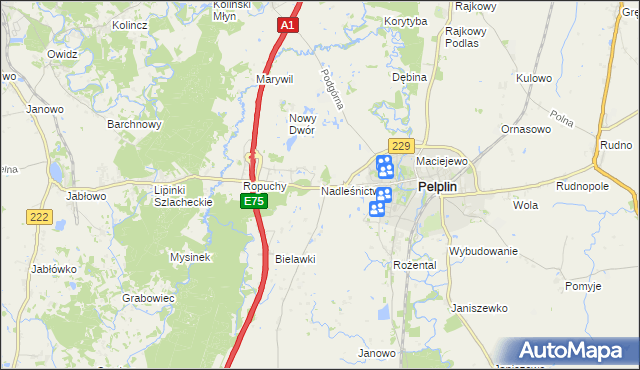 mapa Nadleśnictwo, Nadleśnictwo na mapie Targeo