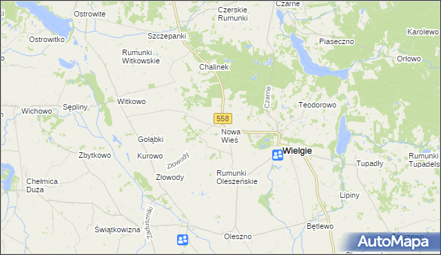 mapa Nowa Wieś gmina Wielgie, Nowa Wieś gmina Wielgie na mapie Targeo