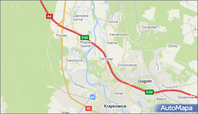 mapa Odrowąż gmina Gogolin, Odrowąż gmina Gogolin na mapie Targeo