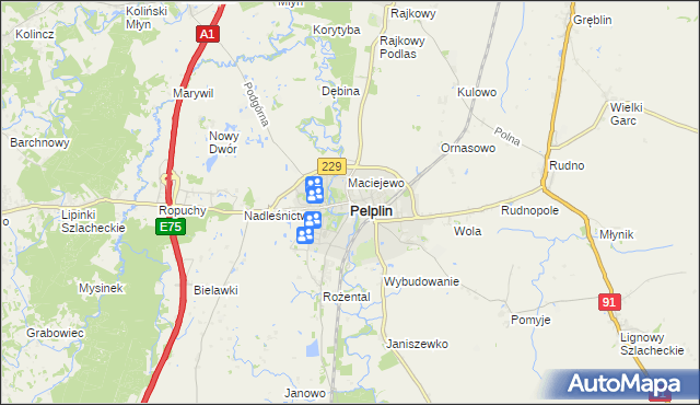 mapa Pelplin, Pelplin na mapie Targeo