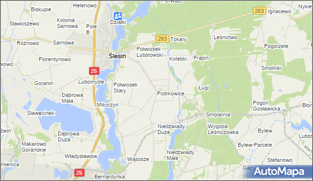 mapa Piotrkowice gmina Ślesin, Piotrkowice gmina Ślesin na mapie Targeo