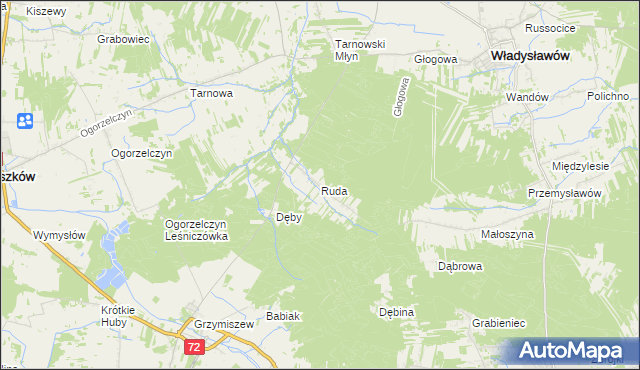 mapa Ruda gmina Tuliszków, Ruda gmina Tuliszków na mapie Targeo