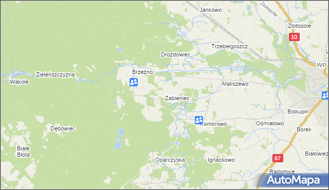 mapa Żabieniec gmina Lipno, Żabieniec gmina Lipno na mapie Targeo