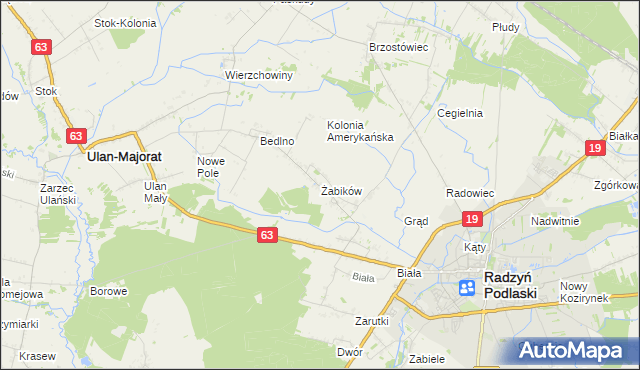 mapa Żabików gmina Radzyń Podlaski, Żabików gmina Radzyń Podlaski na mapie Targeo