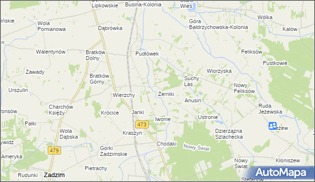 mapa Żerniki gmina Zadzim, Żerniki gmina Zadzim na mapie Targeo