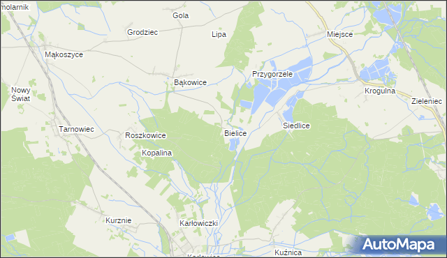 mapa Bielice gmina Świerczów, Bielice gmina Świerczów na mapie Targeo