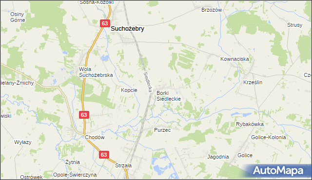 mapa Borki Siedleckie, Borki Siedleckie na mapie Targeo