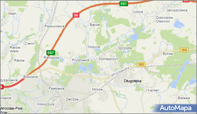 mapa Domaszczyn, Domaszczyn na mapie Targeo