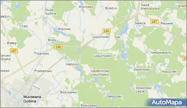 mapa Łopuchówko, Łopuchówko na mapie Targeo