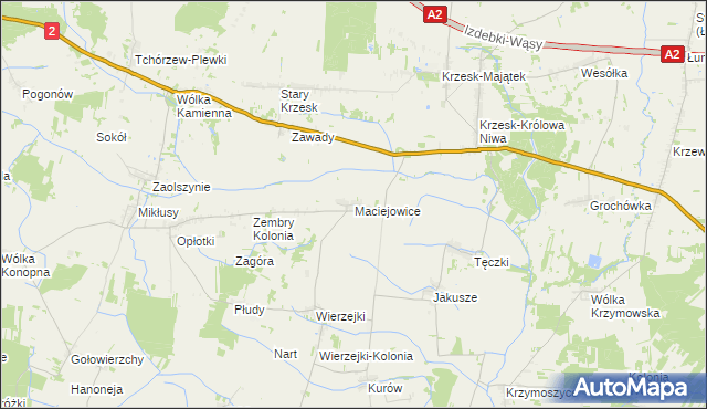 mapa Maciejowice gmina Zbuczyn, Maciejowice gmina Zbuczyn na mapie Targeo