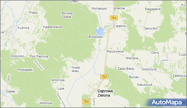 mapa Raczkowice-Kolonia, Raczkowice-Kolonia na mapie Targeo