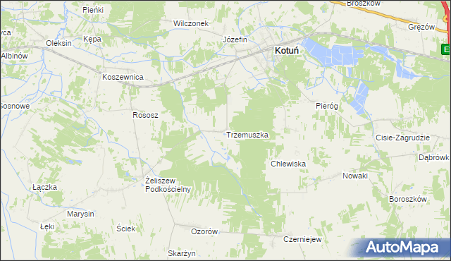 mapa Trzemuszka, Trzemuszka na mapie Targeo