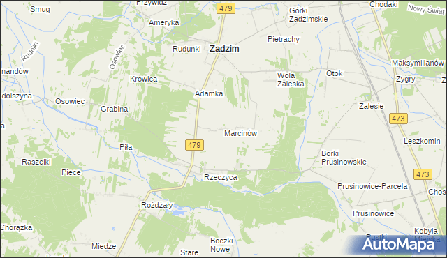 mapa Marcinów gmina Zadzim, Marcinów gmina Zadzim na mapie Targeo