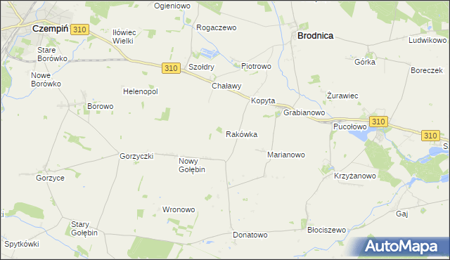 mapa Rakówka gmina Czempiń, Rakówka gmina Czempiń na mapie Targeo