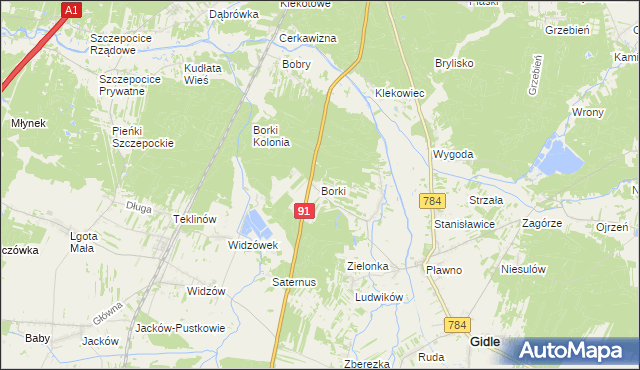 mapa Borki gmina Gidle, Borki gmina Gidle na mapie Targeo