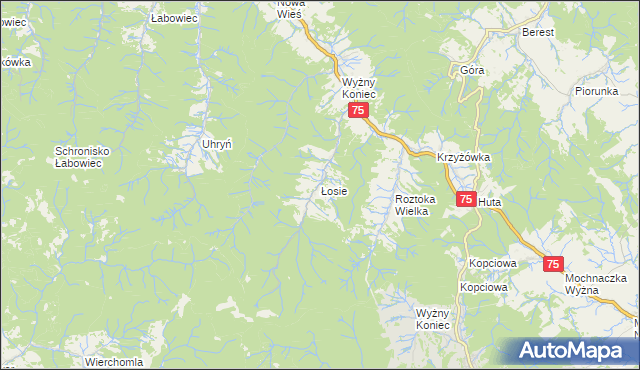 mapa Łosie gmina Łabowa, Łosie gmina Łabowa na mapie Targeo