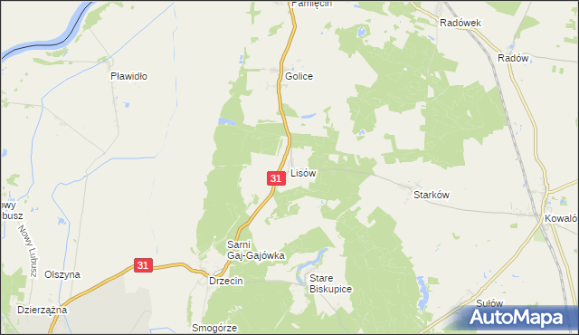 mapa Lisów gmina Słubice, Lisów gmina Słubice na mapie Targeo