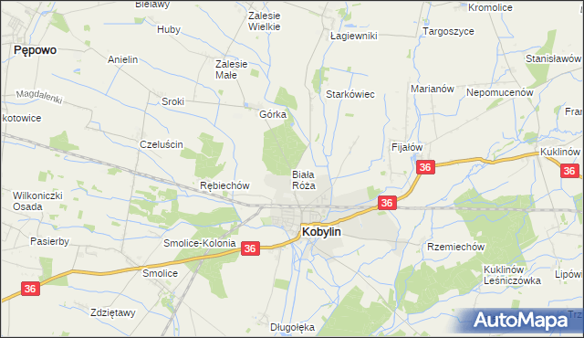 mapa Biała Róża gmina Kobylin, Biała Róża gmina Kobylin na mapie Targeo