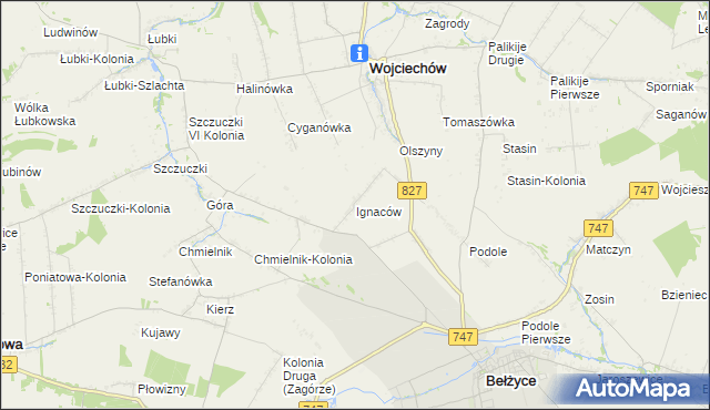 mapa Ignaców gmina Wojciechów, Ignaców gmina Wojciechów na mapie Targeo