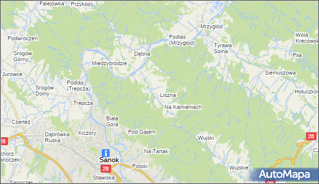 mapa Liszna gmina Sanok, Liszna gmina Sanok na mapie Targeo