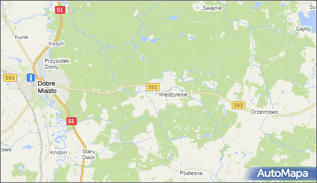 mapa Międzylesie gmina Dobre Miasto, Międzylesie gmina Dobre Miasto na mapie Targeo