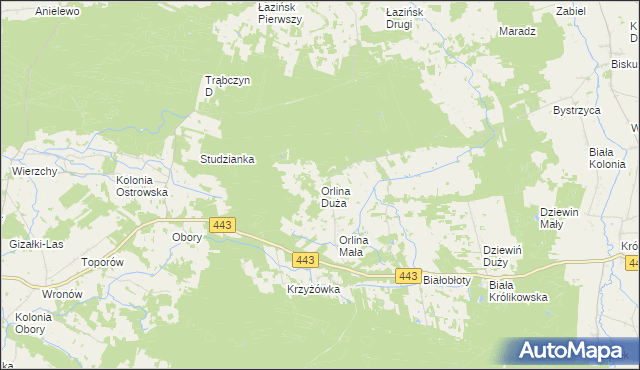 mapa Orlina Duża, Orlina Duża na mapie Targeo