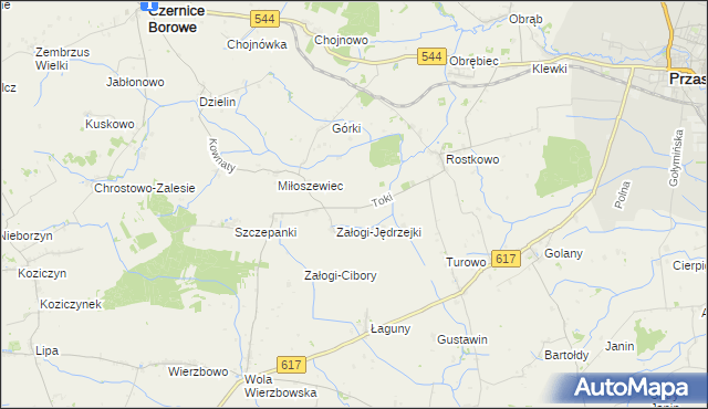 mapa Toki gmina Czernice Borowe, Toki gmina Czernice Borowe na mapie Targeo
