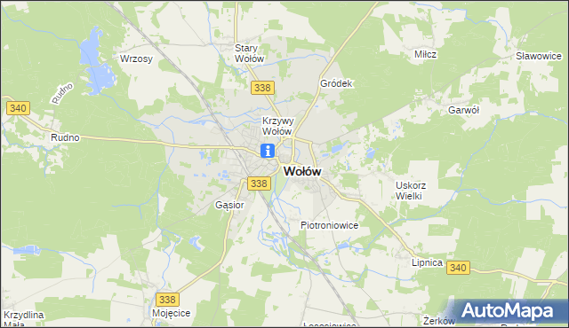 mapa Wołów, Wołów na mapie Targeo