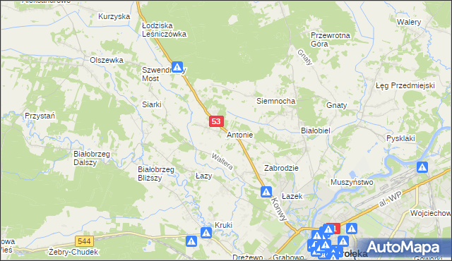 mapa Antonie gmina Olszewo-Borki, Antonie gmina Olszewo-Borki na mapie Targeo