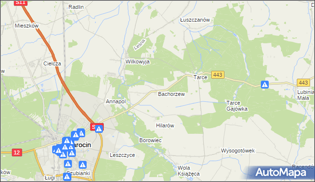 mapa Bachorzew, Bachorzew na mapie Targeo