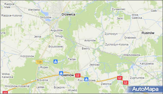 mapa Bieliny gmina Gielniów, Bieliny gmina Gielniów na mapie Targeo