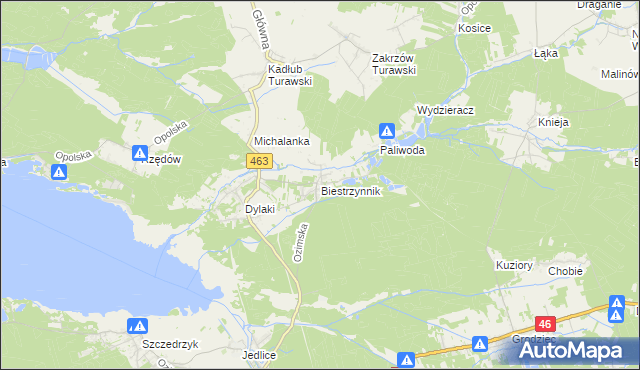 mapa Biestrzynnik, Biestrzynnik na mapie Targeo