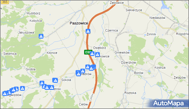 mapa Bolkowice gmina Paszowice, Bolkowice gmina Paszowice na mapie Targeo