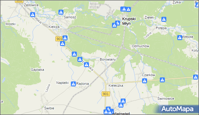 mapa Borowiany, Borowiany na mapie Targeo