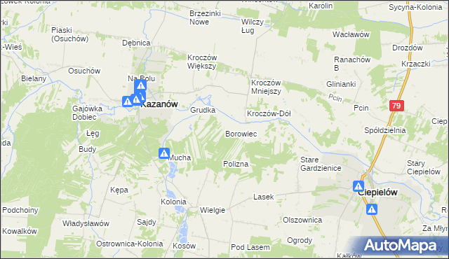 mapa Borowiec gmina Ciepielów, Borowiec gmina Ciepielów na mapie Targeo