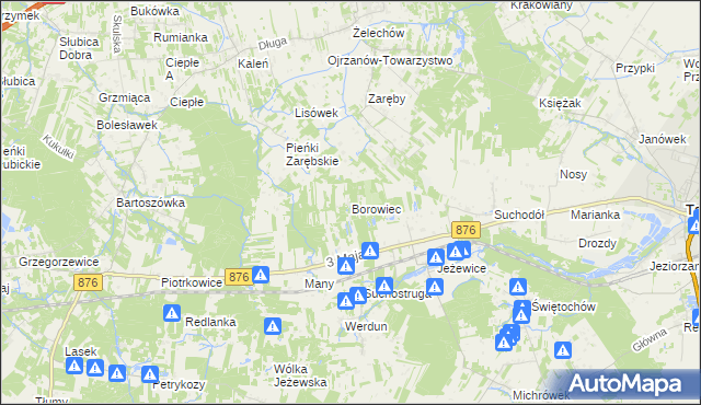 mapa Borowiec gmina Tarczyn, Borowiec gmina Tarczyn na mapie Targeo