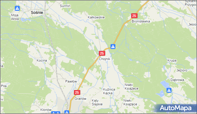 mapa Chojnik gmina Sośnie, Chojnik gmina Sośnie na mapie Targeo