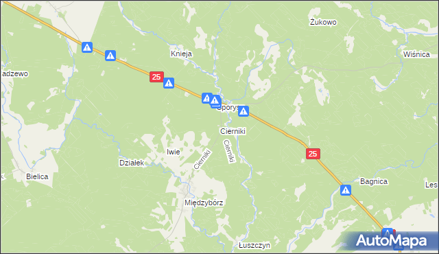 mapa Cierniki, Cierniki na mapie Targeo