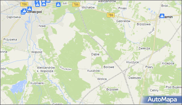 mapa Dąbie gmina Secemin, Dąbie gmina Secemin na mapie Targeo