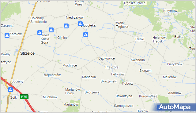 mapa Dąbkowice gmina Strzelce, Dąbkowice gmina Strzelce na mapie Targeo