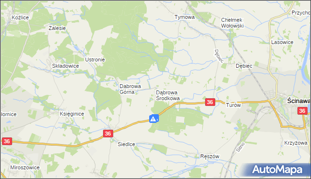 mapa Dąbrowa Środkowa, Dąbrowa Środkowa na mapie Targeo