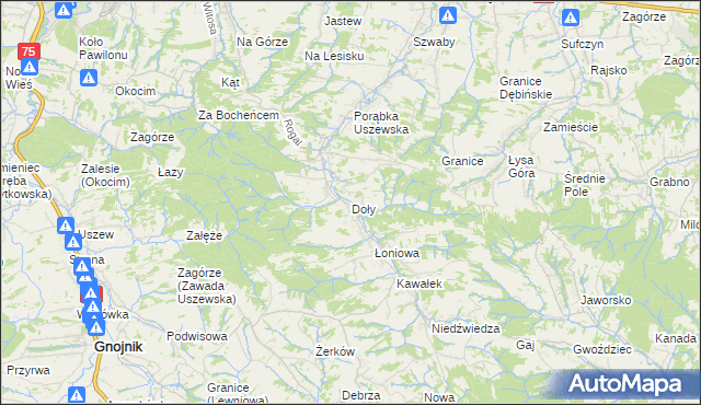 mapa Doły gmina Dębno, Doły gmina Dębno na mapie Targeo