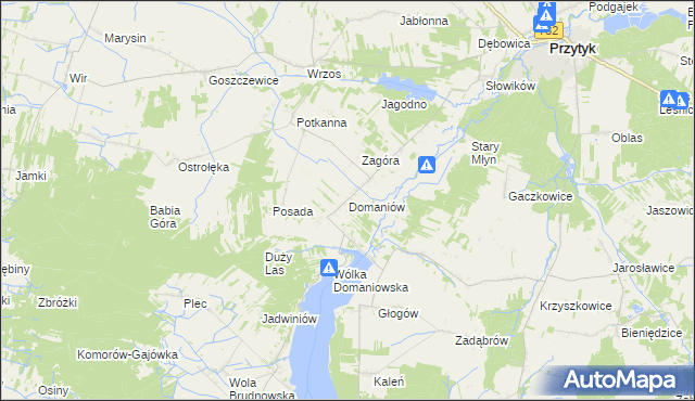mapa Domaniów gmina Przytyk, Domaniów gmina Przytyk na mapie Targeo