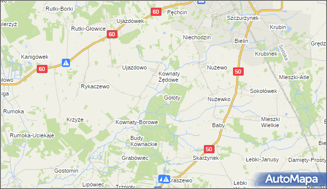 mapa Gołoty gmina Ciechanów, Gołoty gmina Ciechanów na mapie Targeo