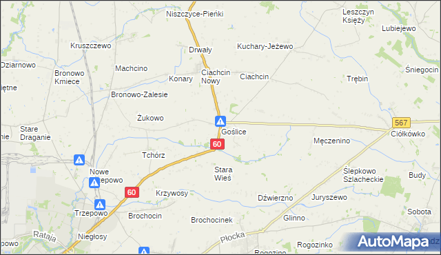 mapa Goślice, Goślice na mapie Targeo